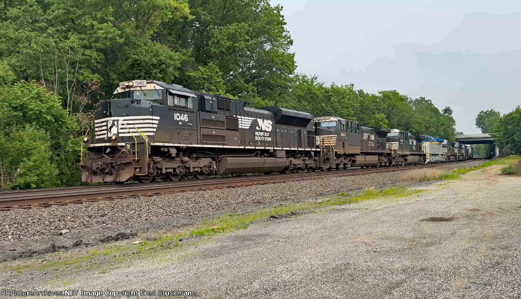 NS 1046 leads 11Q.